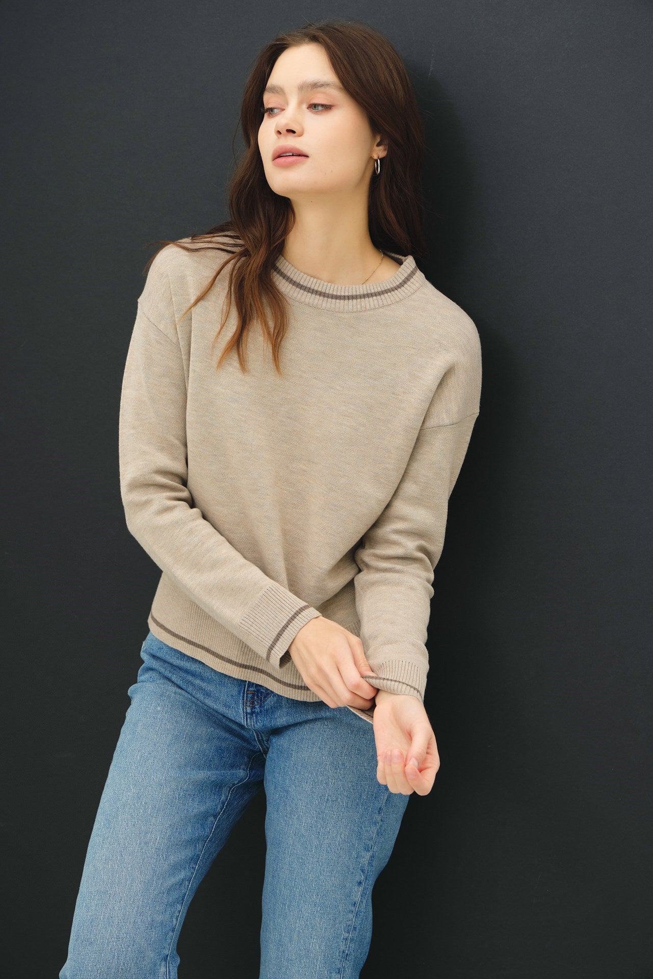 Crew Neck Single Stripe Sweater